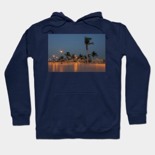 Thuwal Park, Saudi Arabia Hoodie